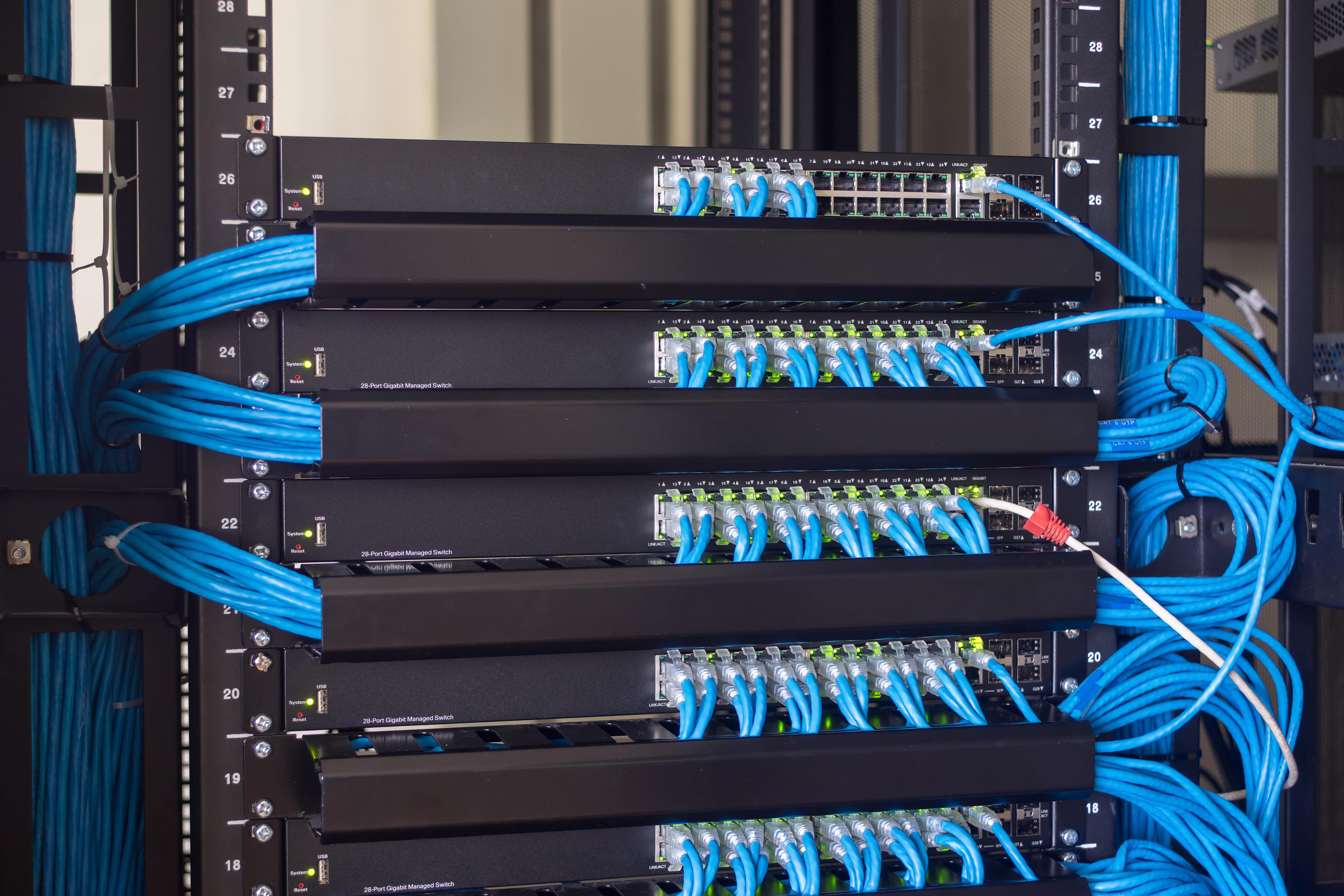 multiple LAN switches for data center connectivity