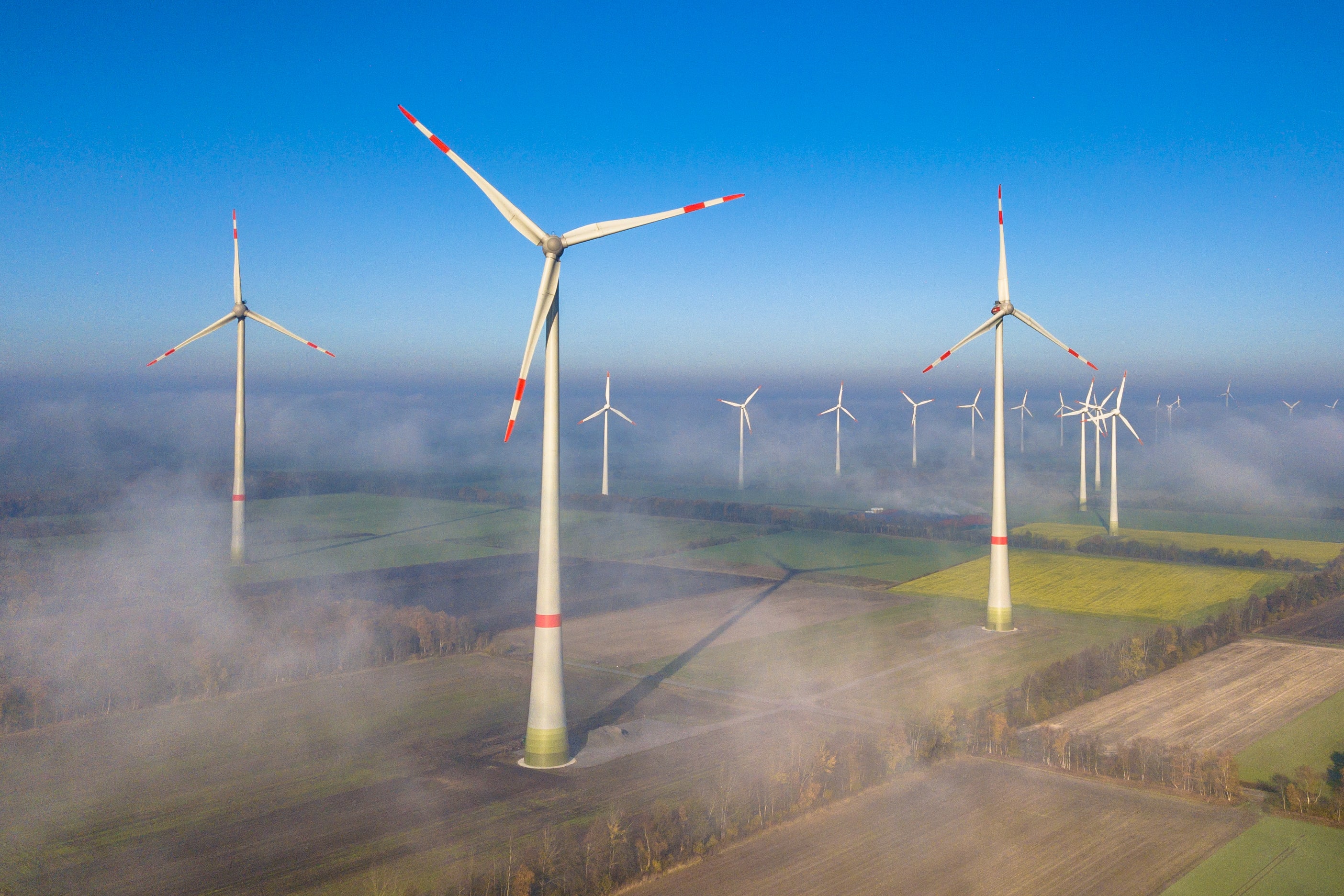Multiple wind turbines in a farm
