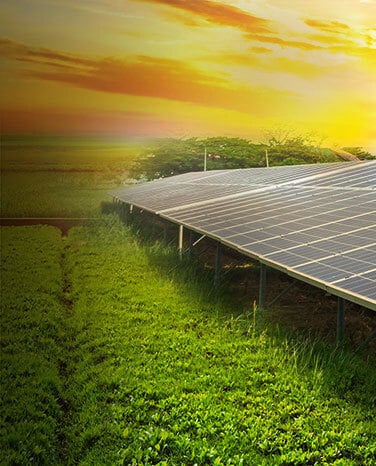 Green Landscape with Solar Panels