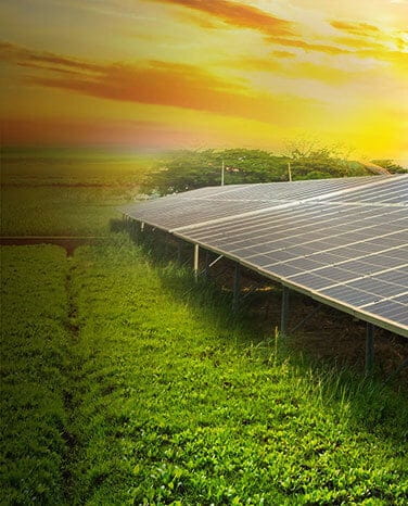 Green Landscape with Solar Panels