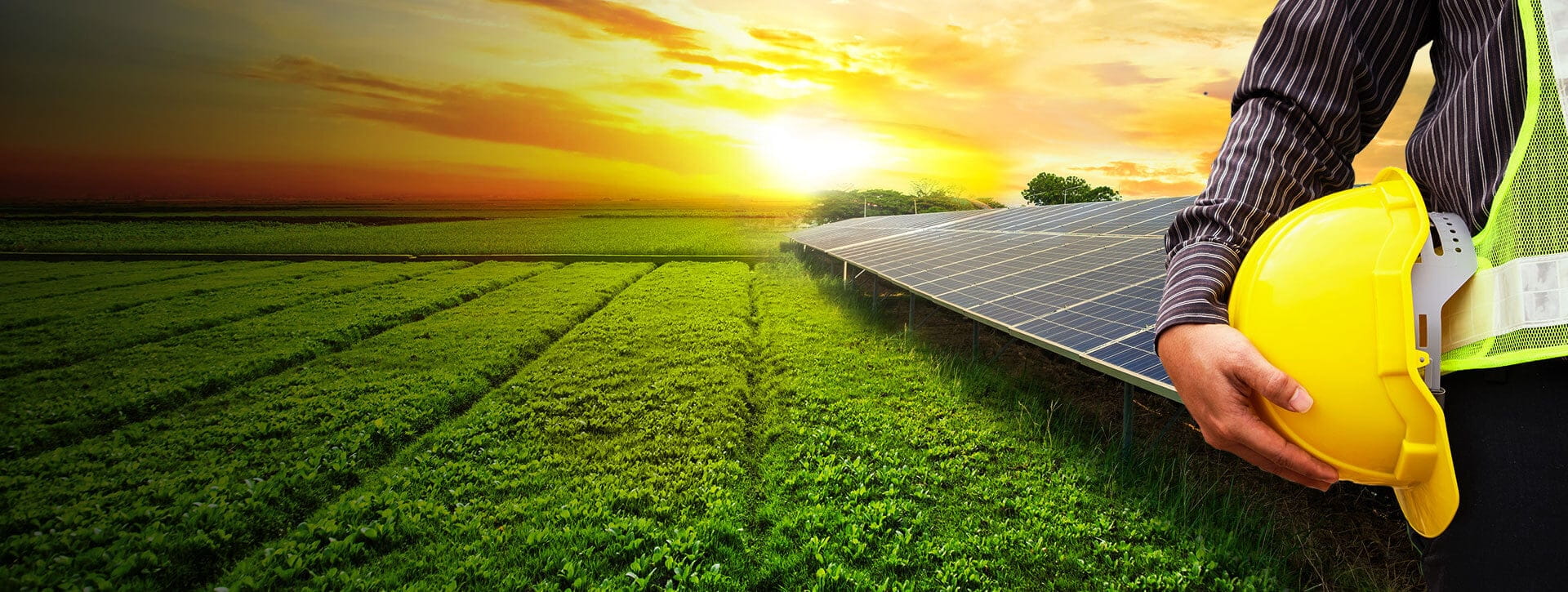 Green Landscape with Solar Panels and Engineer holding a Safety Helmet